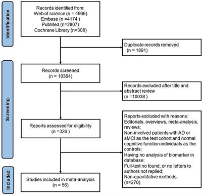 Plasma tau proteins for the diagnosis of mild cognitive impairment and Alzheimer's disease: A systematic review and meta-analysis